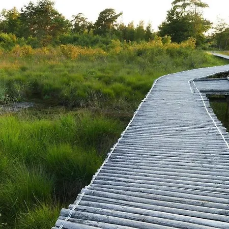 Luxe Glamping Met Eigen Badkamer Voor 5 Personen Bashful * Behelp